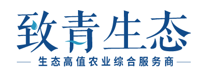 福建省致青生态环保有限公司