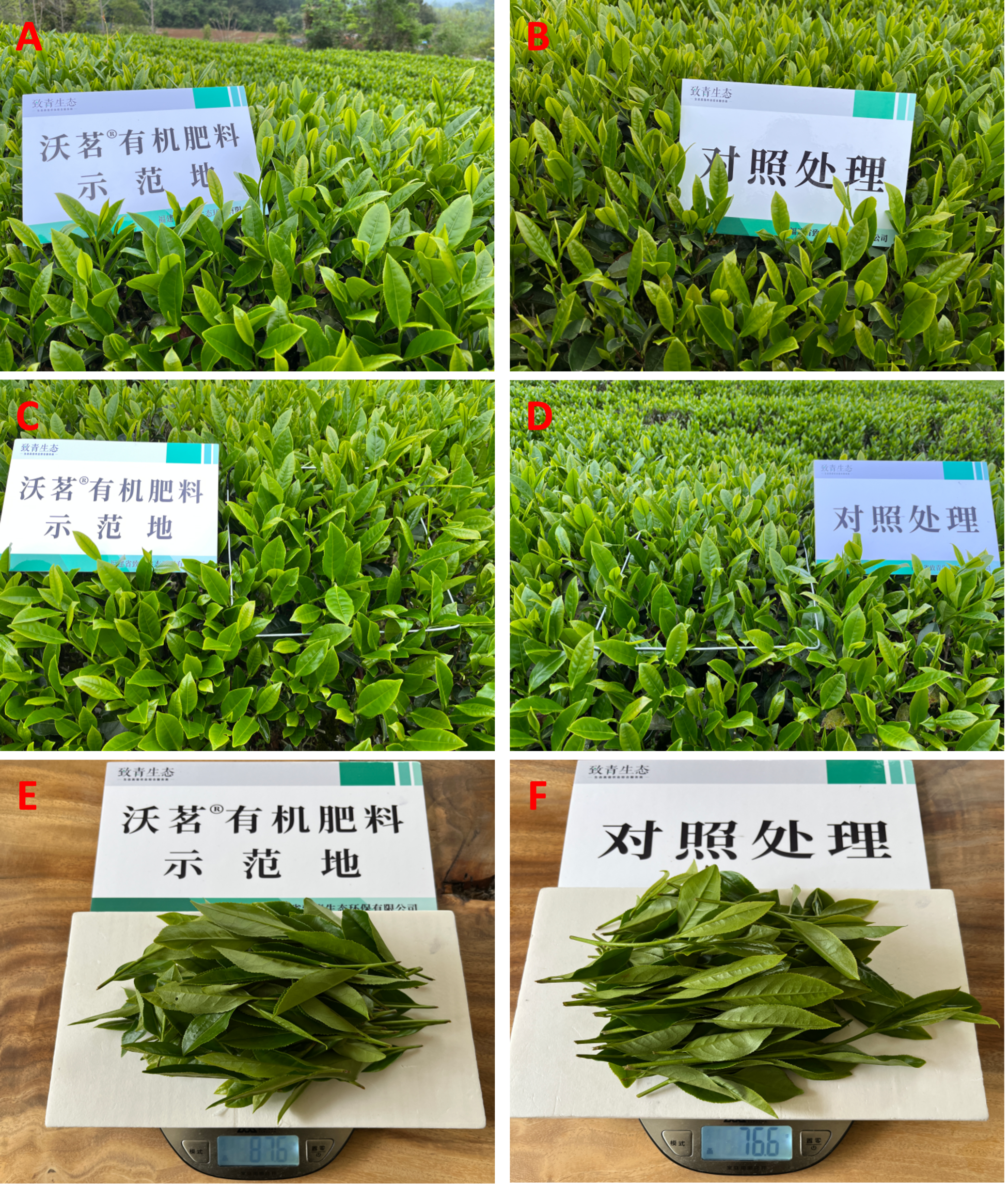 图片 3.png 图片 3.png