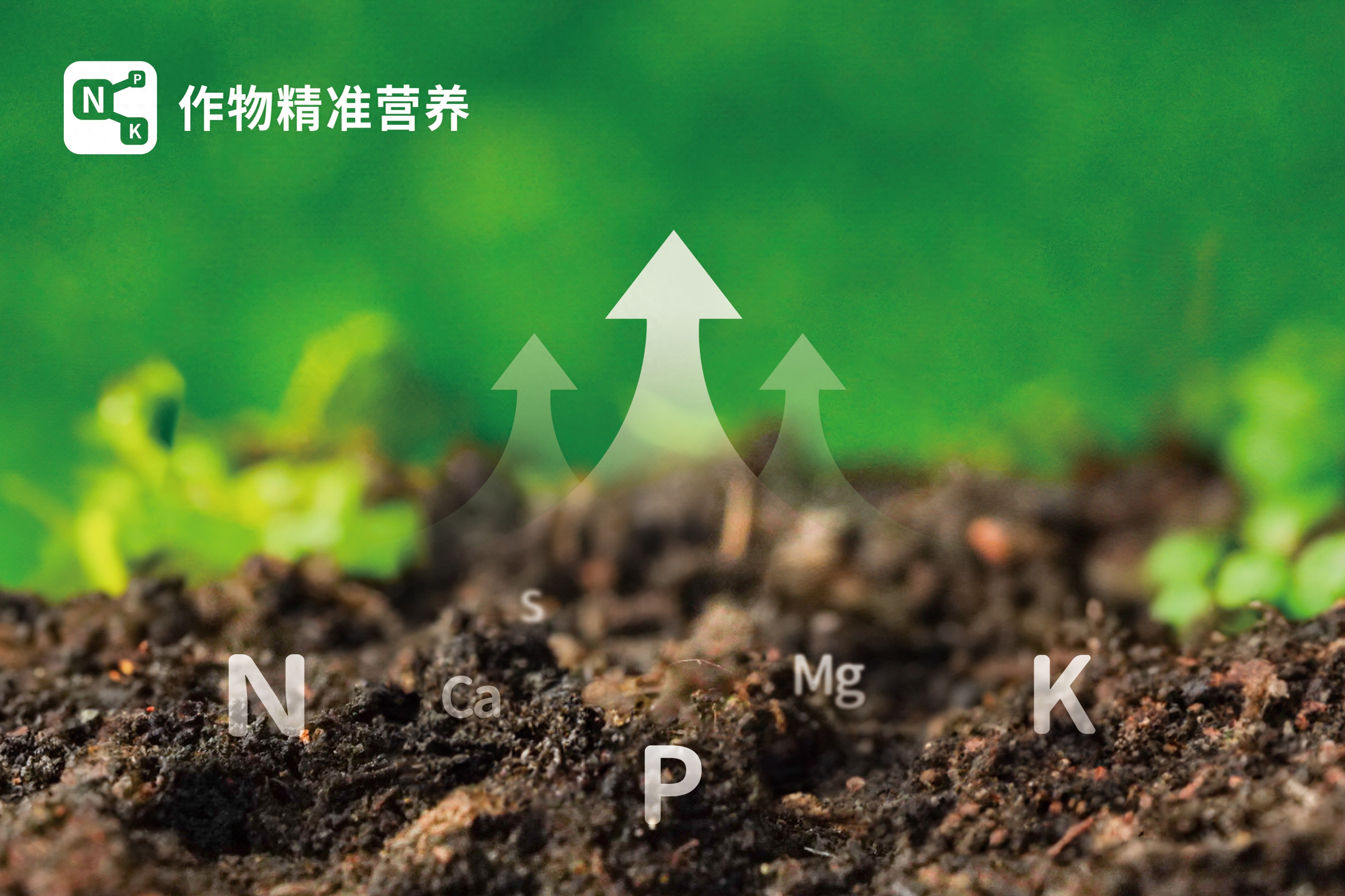 b1c877360f1140d6aa5f289e4a6f9f1e~tplv-tt-origin-web_gif.jpeg