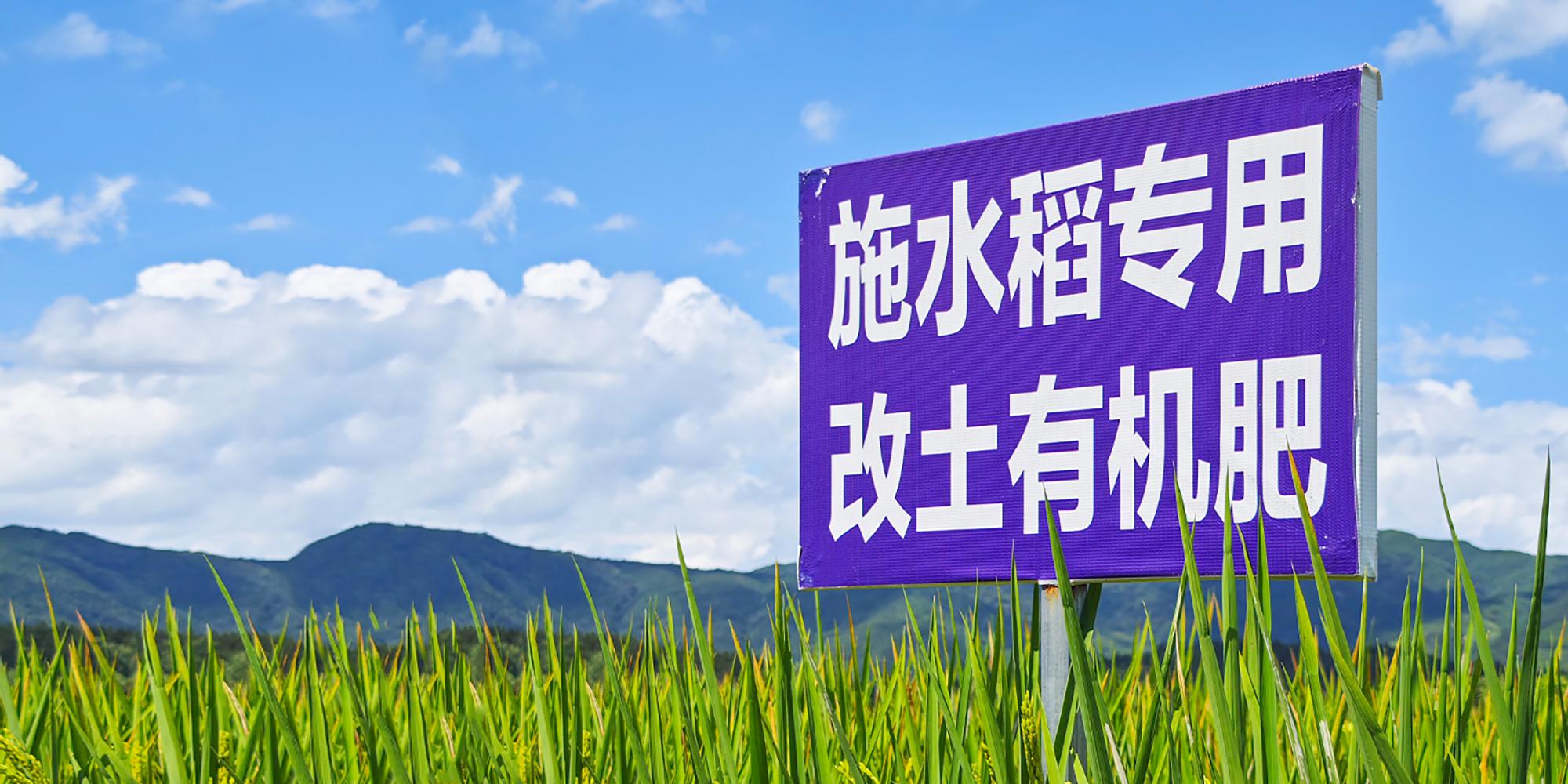 6d529b1c0ae04cfe958f4ce477768884~tplv-tt-origin-web_gif.jpeg 6d529b1c0ae04cfe958f4ce477768884~tplv-tt-origin-web_gif.jpeg